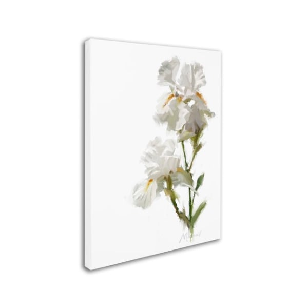 The Macneil Studio 'White Iris' Canvas Art,14x19